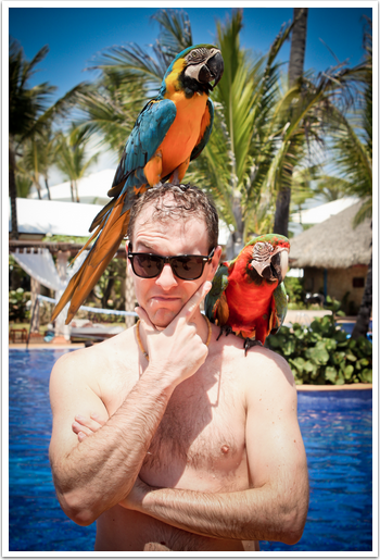 Customer_being_delighted_into_promoter_-_with_Parrots