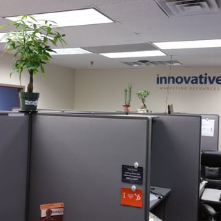 Pic of the office plants we encourage to grow at the agency offices in Waltham 2016-04-07_17.28.26.jpg